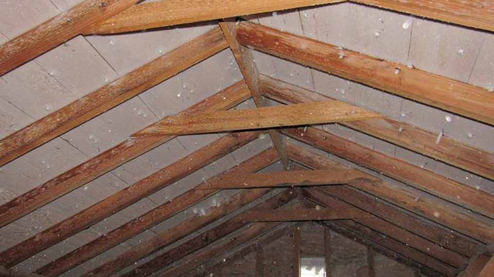 roof-void-attic-sydney