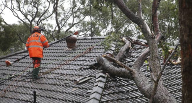 sydney roof insurance work